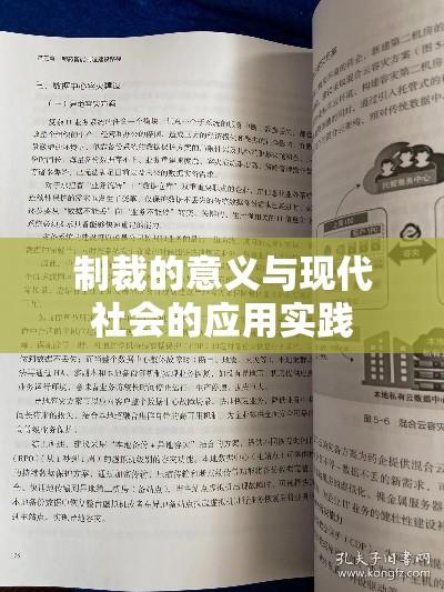 制裁的意义与现代社会的应用实践  第1张