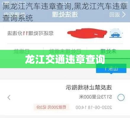 龙江交通违章查询，便捷服务助力交通安全  第1张