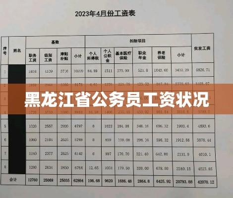 黑龙江省公务员工资状况深度解析  第1张