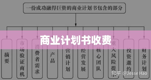 商业计划书收费的深度解析  第1张