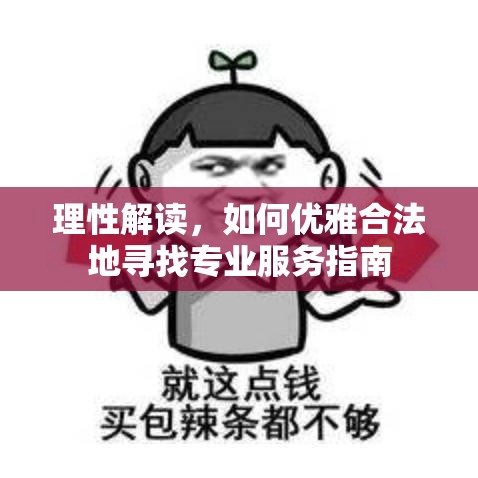 理性解读，如何优雅合法地寻找专业服务指南  第1张