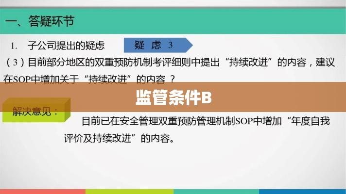 监管条件B下的挑战与对策探讨  第1张