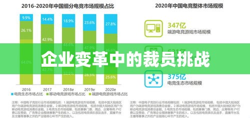 企业变革中的裁员挑战与反思——裁员门探究  第1张