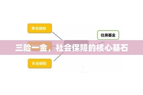 三险一金，社会保障的核心基石  第1张