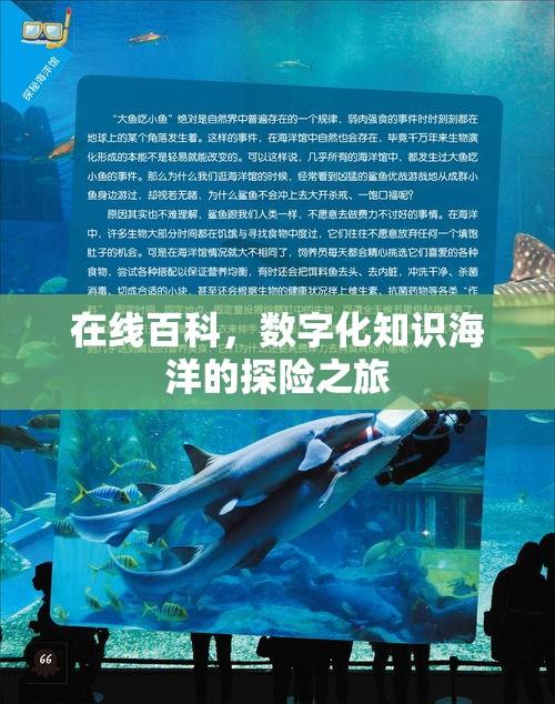 在线百科，数字化知识海洋的探险之旅  第1张