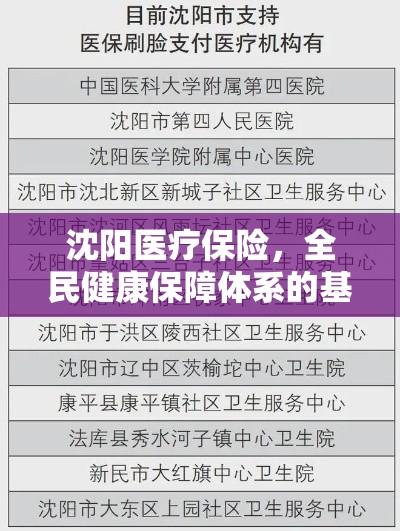 沈阳医疗保险，全民健康保障体系的基石支柱  第1张