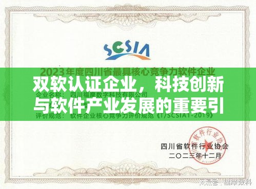 双软认证企业，科技创新与软件产业发展的重要引领力量  第1张