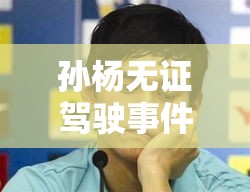 孙杨无证驾驶事件，反思与启示的探讨  第1张