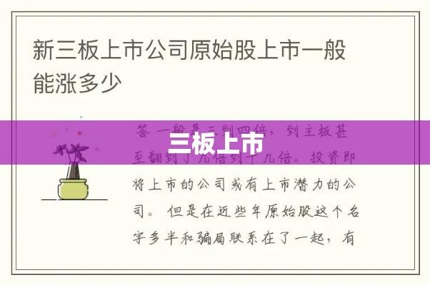 三板上市，企业成长的崭新舞台与面临的挑战  第1张