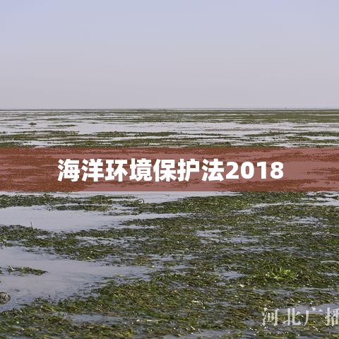 海洋环境保护法2018，构建可持续海洋生态的基石  第1张