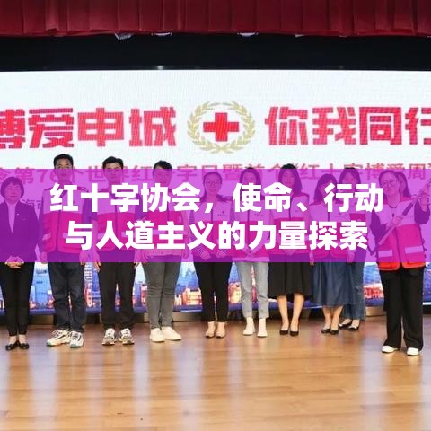 红十字协会，使命、行动与人道主义的力量探索  第1张