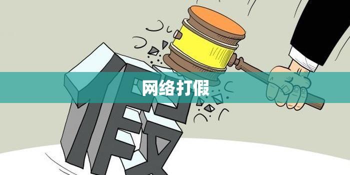 网络打假，捍卫真实与正义的力量  第1张