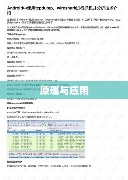 深入理解抓包技术，原理与应用探究  第1张