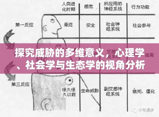 探究威胁的多维意义，心理学、社会学与生态学的视角分析  第1张