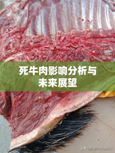 探究死牛肉，真相揭秘、影响分析与未来展望  第1张