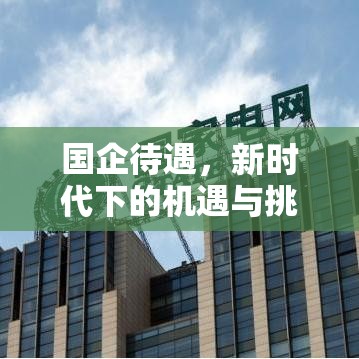 国企待遇，新时代下的机遇与挑战解析  第1张