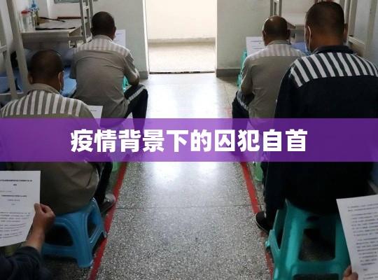 疫情背景下的囚犯自首，人生转折与社会反思之路  第1张