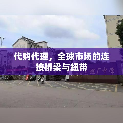 代购代理，全球市场的连接桥梁与纽带  第1张