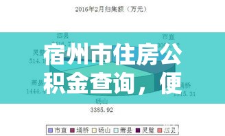 宿州市住房公积金查询，便捷之路与未来展望展望  第1张