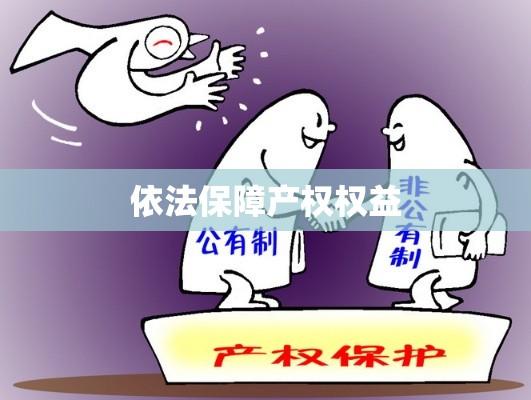 完善产权保护制度，依法保障产权权益的意见  第1张