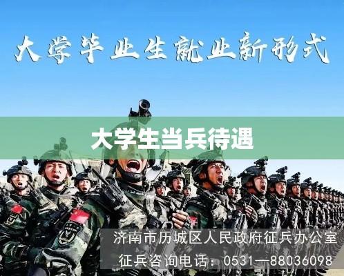 大学生当兵待遇，融入国防，青春建功立业  第1张