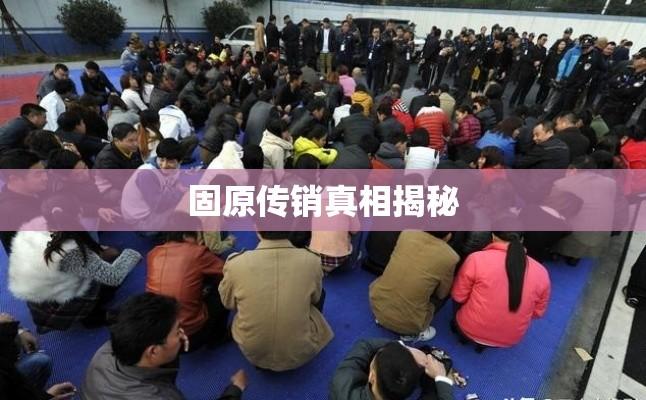 固原传销真相揭秘，打击非法活动刻不容缓  第1张