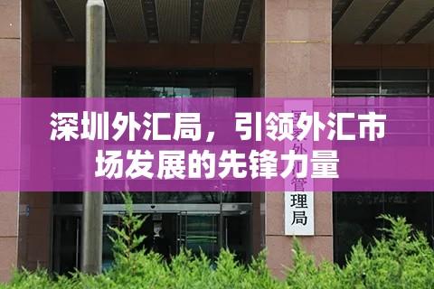 深圳外汇局，引领外汇市场发展的先锋力量  第1张