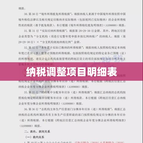 纳税调整项目明细表，揭示财税管理的核心要点与策略解析  第1张