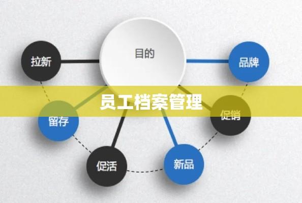 员工档案管理的关键，重要性、内容与策略解析  第1张