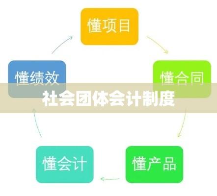 社会团体会计制度，构建透明与效率的基石之道  第1张