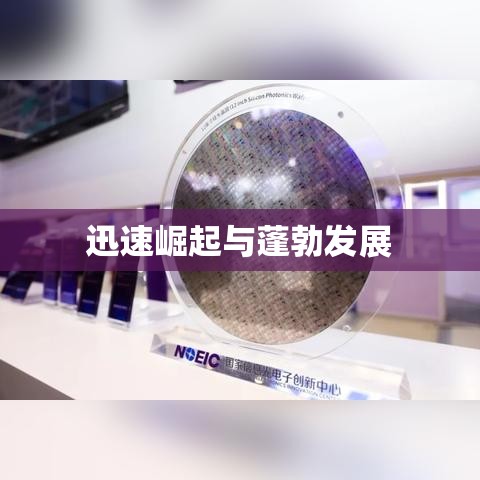 武汉集成墙板厂的迅速崛起与蓬勃发展  第1张