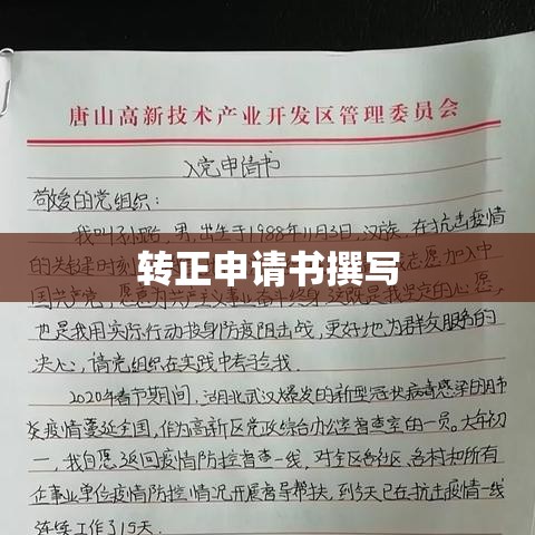 如何撰写一份优秀的转正申请范文，转正申请书撰写指南  第1张