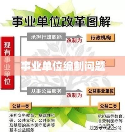 事业单位编制问题，挑战与解决策略  第1张