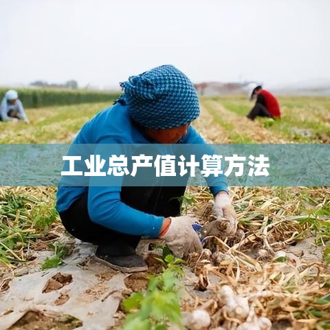 工业总产值计算方法及影响因素深度解析  第1张