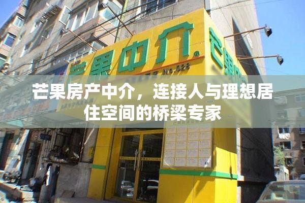 芒果房产中介，连接人与理想居住空间的桥梁专家  第1张